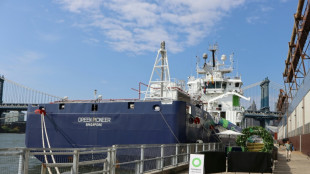 An Aussie tycoon bets billions on cleaning up iron ore giant