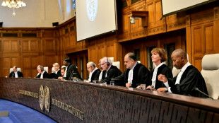 CIJ obstru&iacute;da, dano colateral de um sistema mundial disfuncional