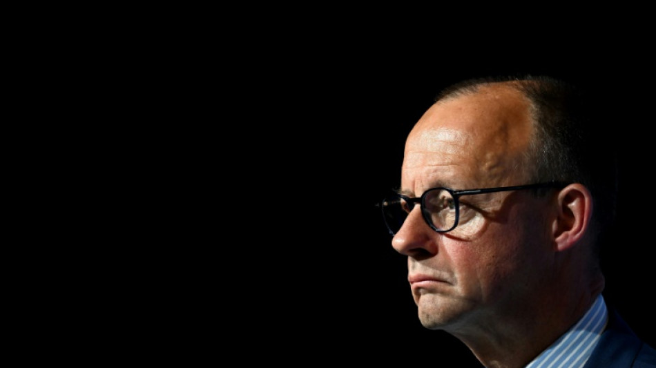 Merz: AfD ist Feind unserer Demokratie