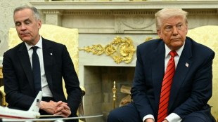 Trump annonce l'arrêt des raids américains contre les rebelles au Yémen