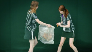 Wimbledon disrupted by climate protests