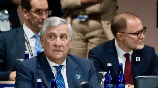 Tajani, a guerra finita si accelerer&agrave; su adesione Kiev a Nato