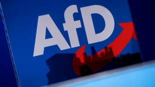 Grüne beharren weiter auf Verbotsverfahren gegen die AfD