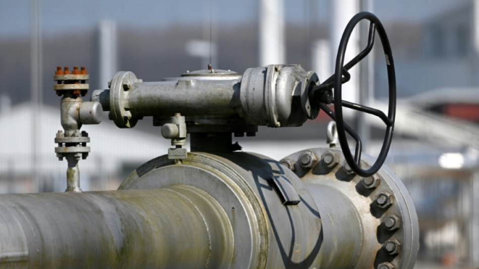 La reducci&oacute;n de las entregas de gas ruso confirma que Europa debe independizarse de Mosc&uacute; (UE)