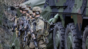 Ifo: Sonderverm&ouml;gen f&uuml;r Bundeswehr nur zur H&auml;lfte f&uuml;r Investitionen nutzbar