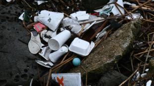 Deutschland und Frankreich machen Druck bei Verhandlungen zu Plastikm&uuml;ll-Abkommen 