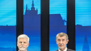 Ex-Nato-General Pavel Favorit bei Stichwahl um das Pr&auml;sidentenamt in Tschechien