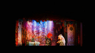 Curtain drops for Eiffel Tower puppet theatre before Paris Games