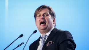 AfD setzt Aufstellung von Kandidaten f&uuml;r Europawahl fort