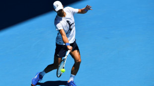 Djokovic 'likes his chances' of 10th Australian Open crown