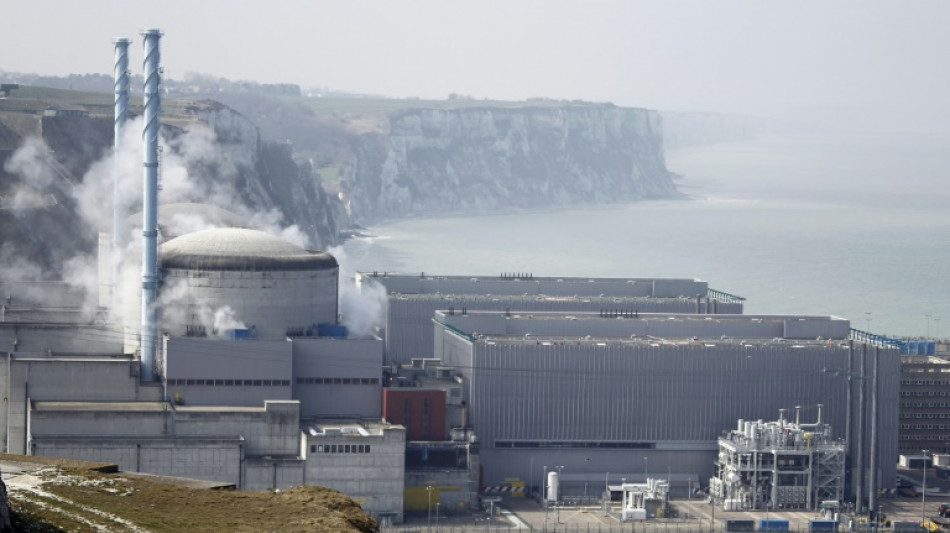 Corrosion: EDF va prolonger l'arr&ecirc;t de quatre r&eacute;acteurs nucl&eacute;aires de plusieurs semaines