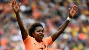 Netherlands striker Beerensteyn glad 'big-mouth' US out of World Cup