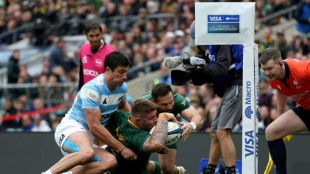 L'Afrique du Sud remporte le Rugby Championship pour la deuxième année consécutive