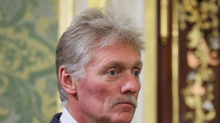 Cremlino, 'i disordini in Europa sono una grave crisi al limite del caos'