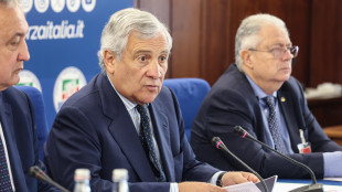 Tajani, 'l'Italia impegnata su aumento spese difesa'