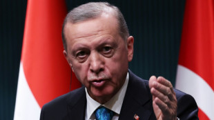 T&uuml;rkisches Parlament stimmt Donnerstag &uuml;ber Nato-Beitrittswunsch Finnlands ab
