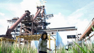 A Uckange, les plantes au secours des sites industriels pollu&eacute;s
