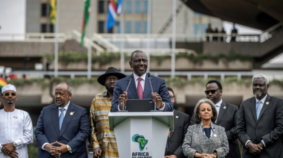 Teilnehmer von erstem Afrika-Klimagipfel ver&ouml;ffentlichen "Erkl&auml;rung von Nairobi"