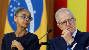 La deforestaci&oacute;n en la Amazon&iacute;a brasile&ntilde;a sigue en retroceso