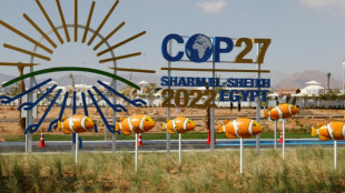 Las negociaciones clim&aacute;ticas en la COP27 entran en una fase cr&iacute;tica