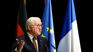 Steinmeier zu Besuch bei Frankreichs Pr&auml;sident Macron