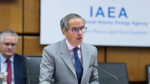 ONU pede 'vigil&acirc;ncia' contra roubos de material nuclear