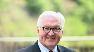Steinmeier und Selenskyj rufen zu deutsch-ukrainischen St&auml;dtepartnerschaften auf