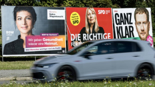 Umfrage vor Landtagswahlen: AfD liegt in Sachsen und Th&uuml;ringen vorne