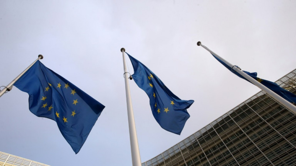 La ley de la UE contra contenidos ilegales en internet entra plenamente en vigor el s&aacute;bado