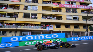 Verstappen admits he was lucky to survive and win&nbsp;