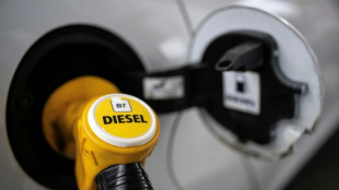 Germans head to Polish pumps as oil price bites