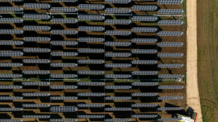 La invasi&oacute;n de Ucrania podr&iacute;a haber acelerado la transici&oacute;n energ&eacute;tica del planeta