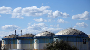 Il petrolio chiude in rialzo a New York, a 92,02 dollari
