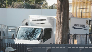 Los pandas de Tokio parten hacia China, dejando a Jap&oacute;n sin sus queridos osos