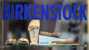Kunst oder nicht: BGH verhandelt &uuml;ber Urheberschutz f&uuml;r Birkenstock-Sandalen