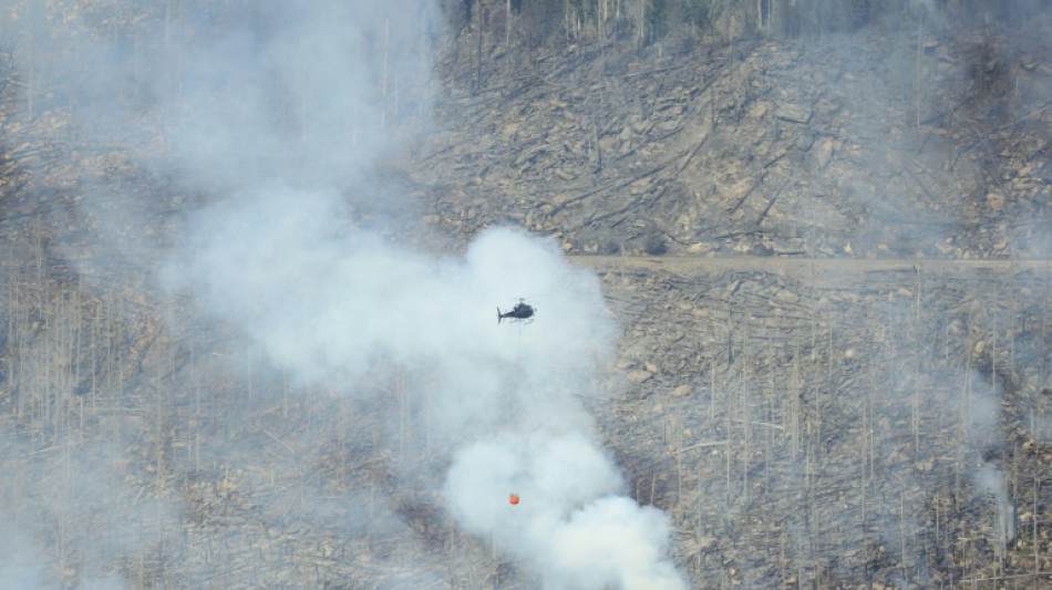 Gro&szlig;feuer am Brocken: 250 Brandbek&auml;mpfer und Flugzeuge im Einsatz