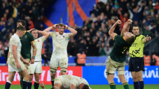 Springbok win would give hard-pressed people 'bit of light', says Stick