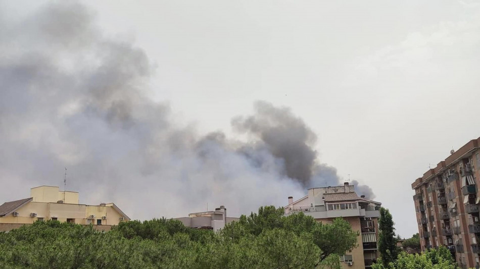 Incendio di sterpaglie a Roma, evacuata facolt&agrave; a Tor Vergata