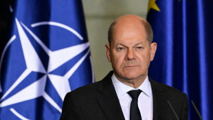 Scholz dr&auml;ngt Putin in Telefonat zu diplomatischer L&ouml;sung im Ukraine-Krieg