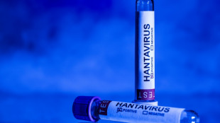 Hantavirus: isolement &agrave; domicile recommand&eacute; pour les contacts proches du touriste franco-argentin