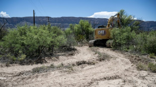 Governo Trump suspende megaprojeto fronteiri&ccedil;o no Texas ap&oacute;s cr&iacute;ticas bipartid&aacute;rias