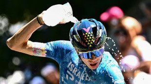 Froome set for Tour de France after team handed wild card entry