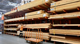 EEUU impone aranceles a importaciones de madera a partir del 14 de octubre