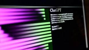 Bundestags-Studie erwartet "nicht absehbare Entwicklungen" durch KI-Chatbots