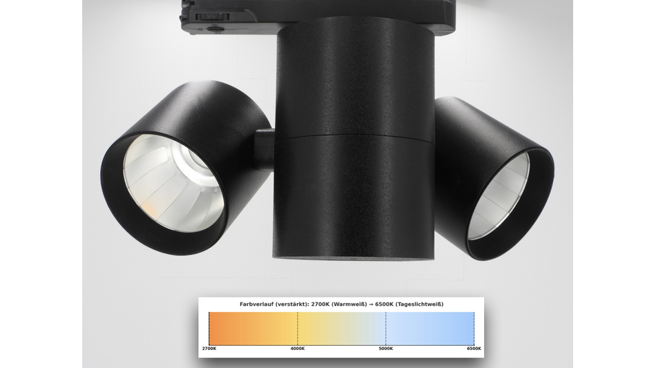 Tunable White Galeriebeleuchtung für perfekte Lichtstimmung